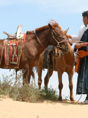 Chevauchée et découverte de la Mongolie