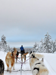 Noël en Laponie