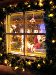 Noël en Laponie chez l’habitant