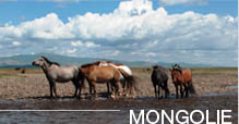 Mongolie