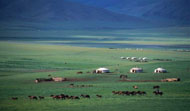 Mongolie