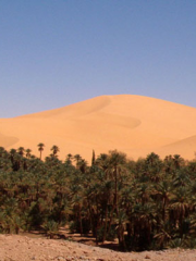 De la Méditerranée aux Oasis